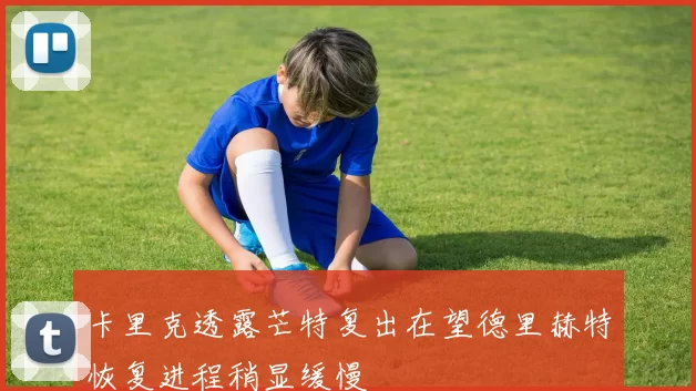 卡里克透露芒特复出在望德里赫特恢复进程稍显缓慢
